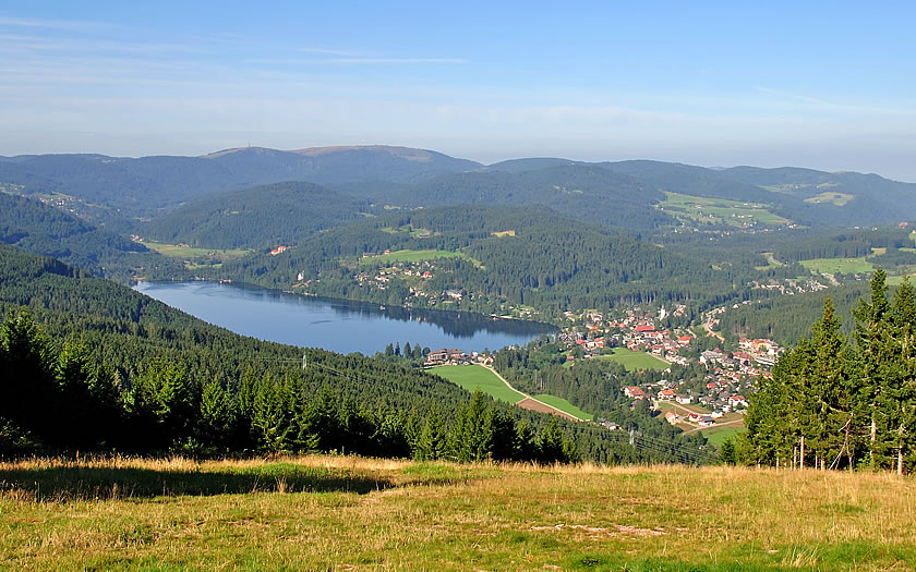 View over the Titisee