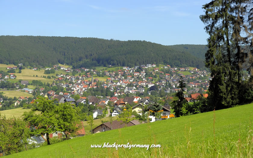 View near Freudenstadt in the Black Forest
